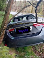 Toyota Corolla 1,6 benzín 2019