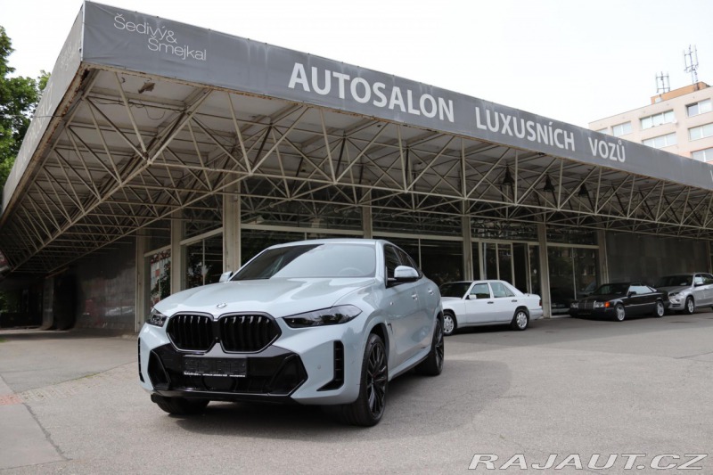 BMW X6 XDRIVE 40i G06 M-SPORT 28