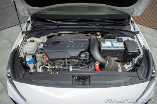 Hyundai i30 N 2.0T-GDI PERF*REMUS*ČR 2019