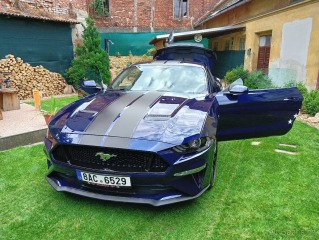 Ford Mustang 5,0   VI.Facelift-coupe G