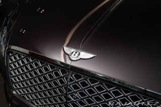 Bentley Ostatní modely Continental GT Damson/Naim/Pano/360 2023