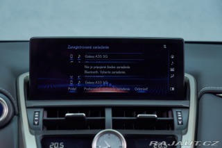 Lexus NX Hybrid premium 4WD 2021