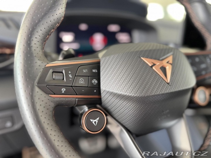 Cupra Terramar 2,0TSI VZ 265*4x4*DPH*5Le 2026