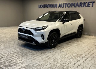 Toyota RAV4 2.5 Hybrid AT SELECTION S