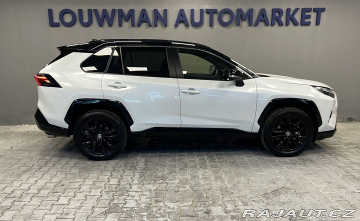 Toyota RAV4 2.5 Hybrid AT AWD SELECTI 2024