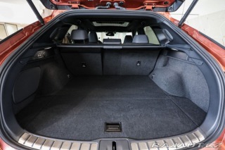 Lexus RX 500h 2.4 HEV F SPORT Pano 1800