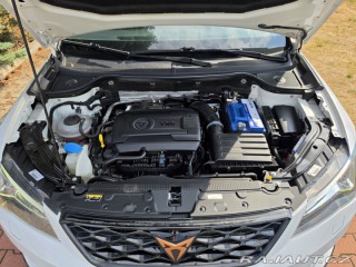 Cupra Ateca Ateca Cupra 2.0 TSi 300 P 2019