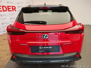 Lexus Ostatní modely UX 250h 250h 2WD F Sport Design P 2023