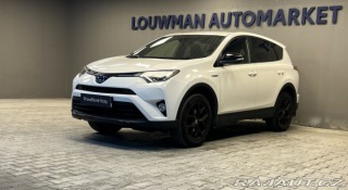 Toyota RAV4 2,5 Hybrid AT AWD Style 2018