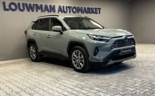 Toyota RAV4 2.5 Hybrid AT EXECUTIVE A 2024