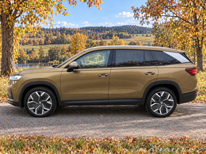 Škoda Kodiaq 2,0 142kW Top Selection 4 2024