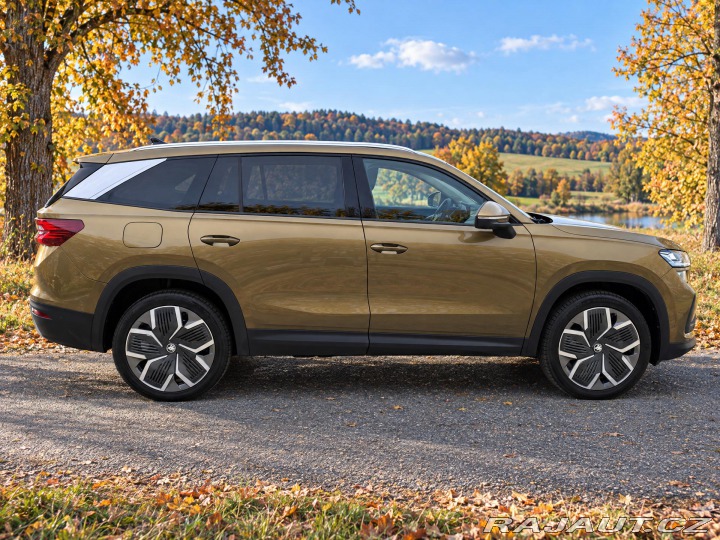 Škoda Kodiaq 2,0 142kW Top Selection 4 2024